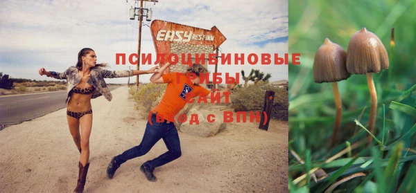 хмурый Армянск